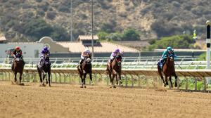 2026 Del Mar Futurity at a Glance